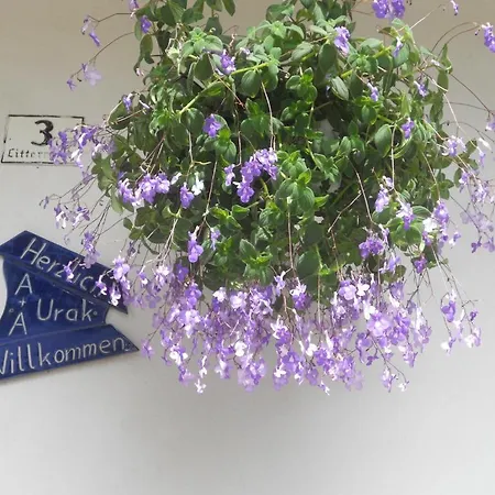 Urak 상트칸지안